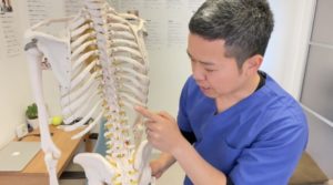これが長年の腰痛現場で培ってきた腰痛理論です！　原因と真実をお伝えします！