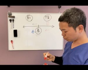 神奈川県横浜市戸塚区東戸塚で唯一の腰痛専門整体院AIN-アイン- 東戸塚 猫背 ストレッチ 筋トレ