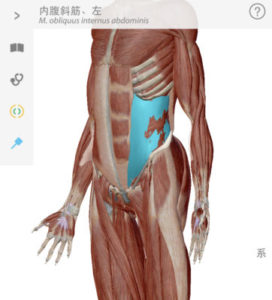 東戸塚で唯一のギックリ腰を根本から改善できる【ギックリ腰専門】整体院AINアイン 東戸塚 代表の志村です。 本日はギックリ腰になってしまった時にその場で自分でも出来る対処法をお伝えしていきたいと思います。
