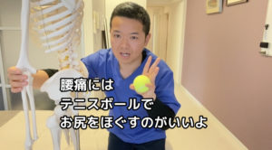 坐骨神経痛はテニスボールを使ってお尻の筋肉をほぐそう！神奈川県横浜市戸塚区で唯一の【坐骨神経痛】専門整体院AIN-アイン- 代表の志村です。